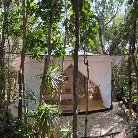 Kuha Glamping Hotel