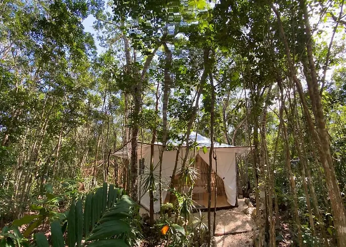 Kuha Glamping *