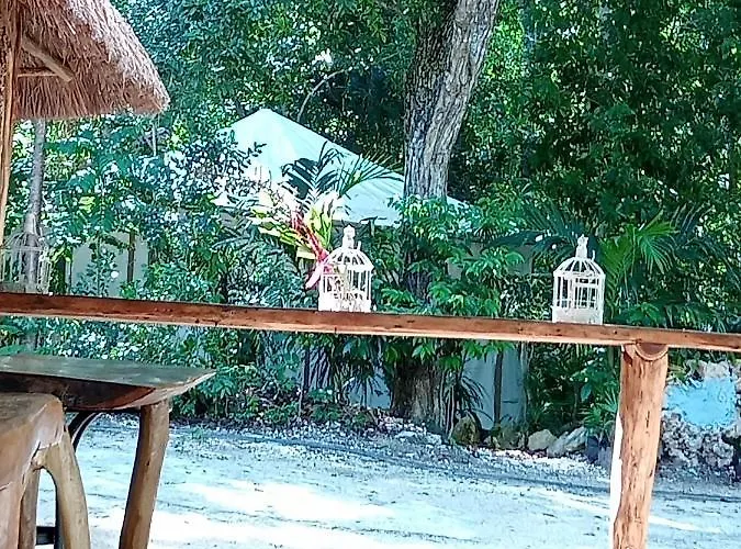 Hotel Kuha Glamping