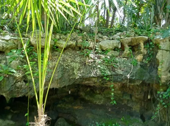 Kuha Glamping Hotel