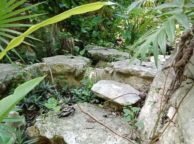 Kuha Glamping * Playa del Carmen