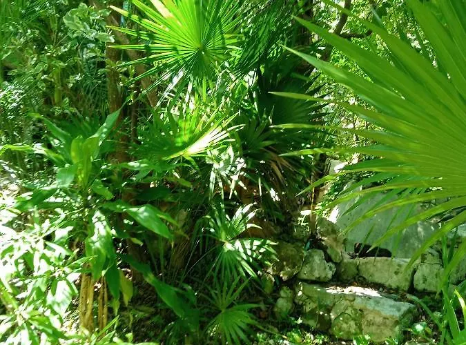 Kuha Glamping * Playa del Carmen