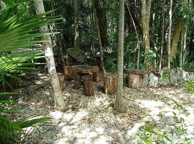 Hotel Kuha Glamping