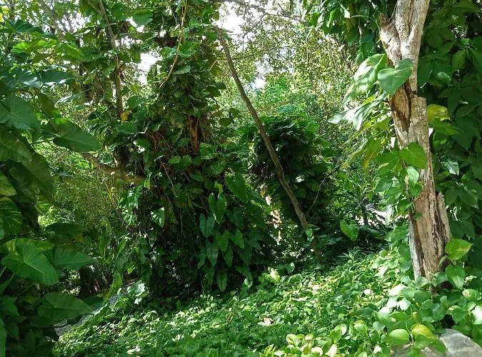 Kuha Glamping * Playa del Carmen