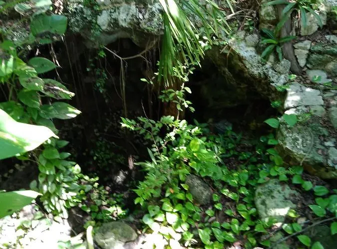 Kuha Glamping