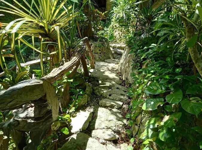Kuha Glamping Playa del Carmen