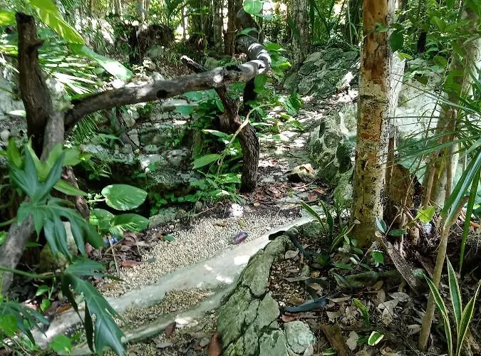 Kuha Glamping * Playa del Carmen