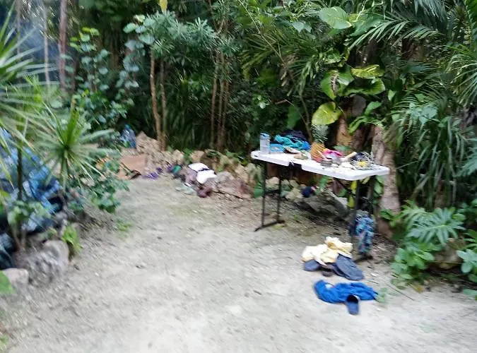 Hotel Kuha Glamping *
